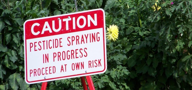 איך עושים הדברה לבית?