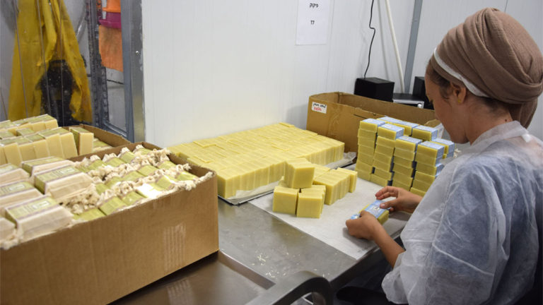 בריחה לרגע – הטבע קורא לנו