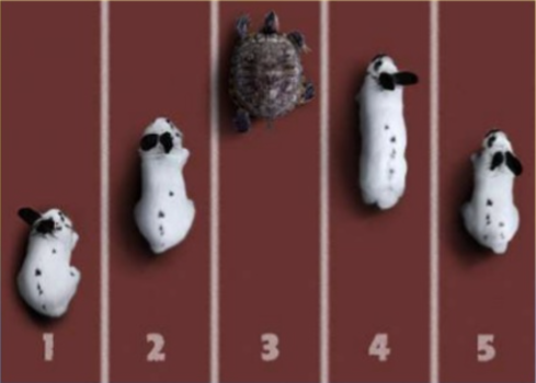 Screen Shot 2021-03-11 at 11.57.48